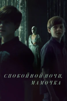 Постер Спокойной ночи, мамочка (2022)