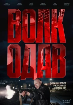 Постер Волкодав (2025)