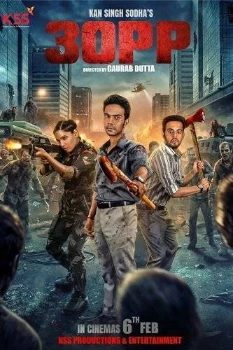 Постер Зорр (2026)