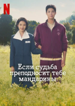 Постер Когда жизнь даёт тебе мандарины / Если судьба преподносит тебе мандарины (2025)