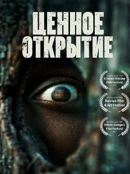 Постер Ценное открытие (2026)