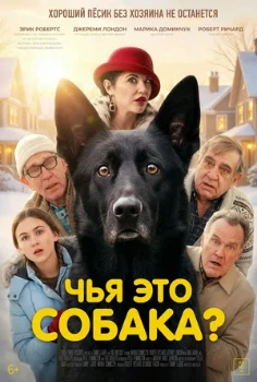 Постер Чья это собака? (2025)