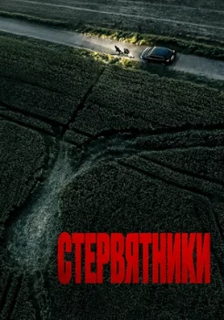 Постер Стервятники (2025)